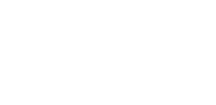 faberplan definitivo bianco